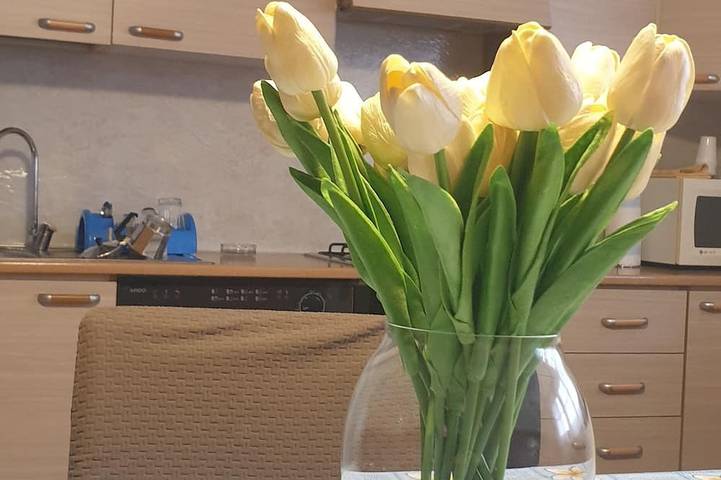 Ferienwohnung für 6 Personen, mit Garten in Parma