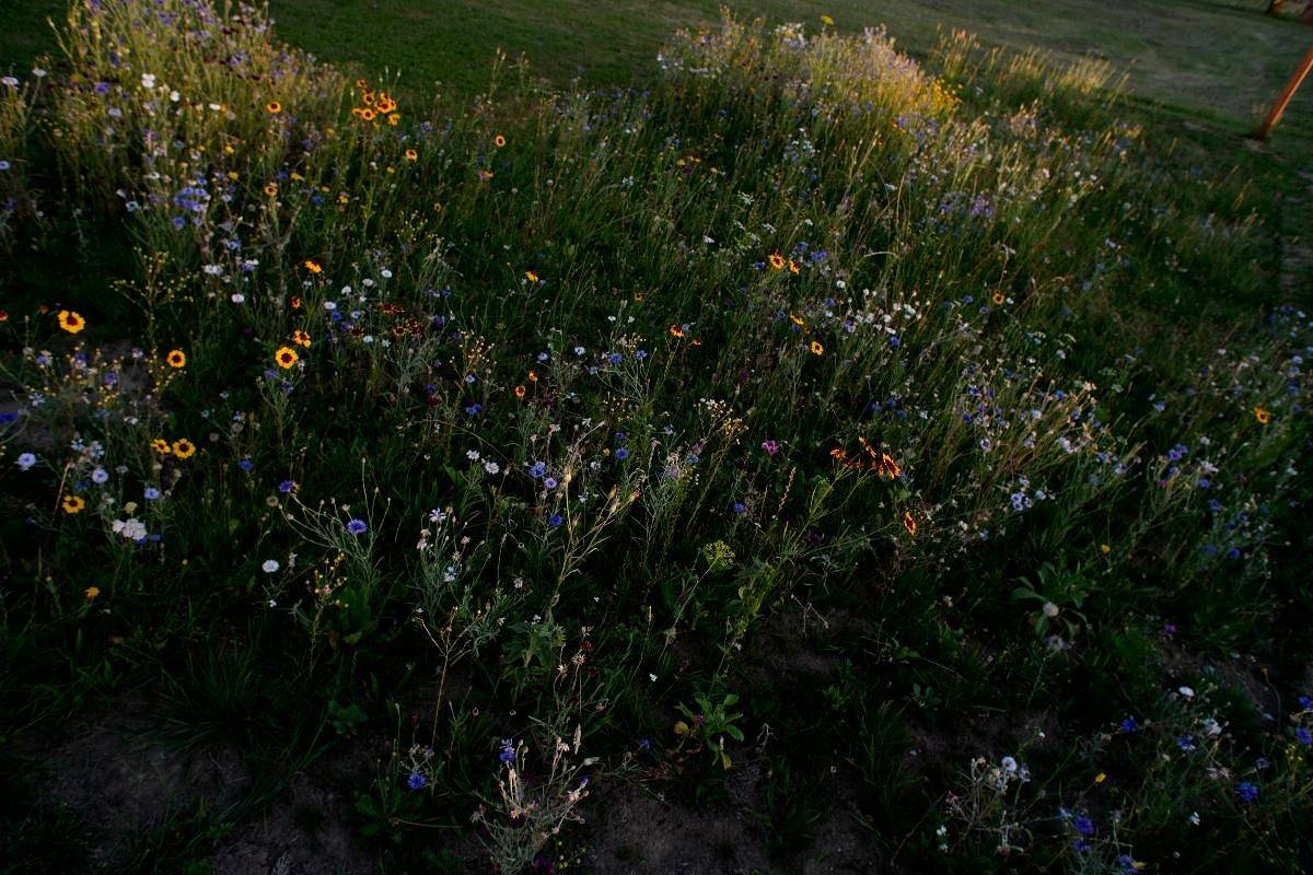 Ferienwohnung Mirtei - Ferienwohnung in Hohenau, Ostbayern