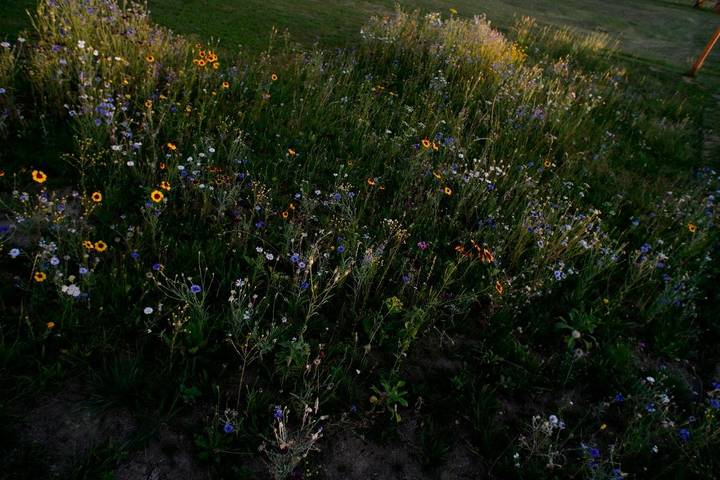 Ferienhaus für 8 Personen, mit Garten, kinderfreundlich in Landkreis Freyung-Grafenau - 2