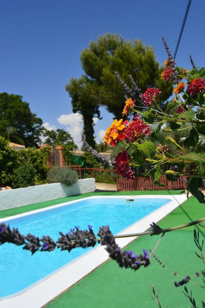 Casa rural para 8 personas, con piscina y terraza, Se admiten mascotas en Algarinejo