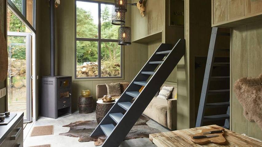 Europarcs De Zanding — Tiny House 4 in Hoge Veluwe