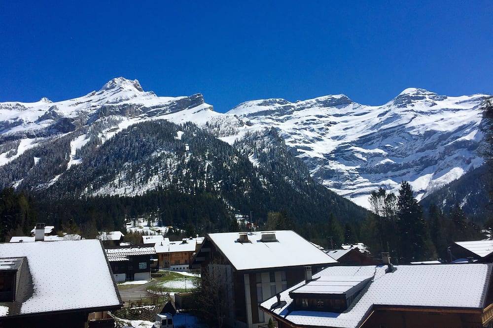 Ganze Wohnung, 2-Zimmer-Wohnung und eine halbe Diablerets in Les Diablerets, Ormont-Dessus (Les Diablerets)