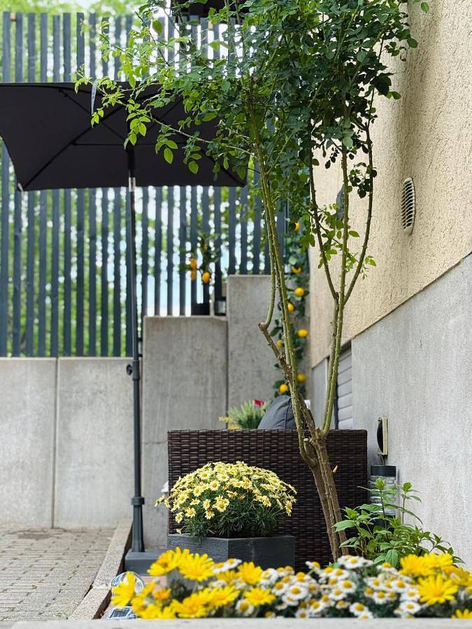 Ferienwohnung für 5 Personen, mit Terrasse und Garten sowie Ausblick in Fürth (Odenwald)