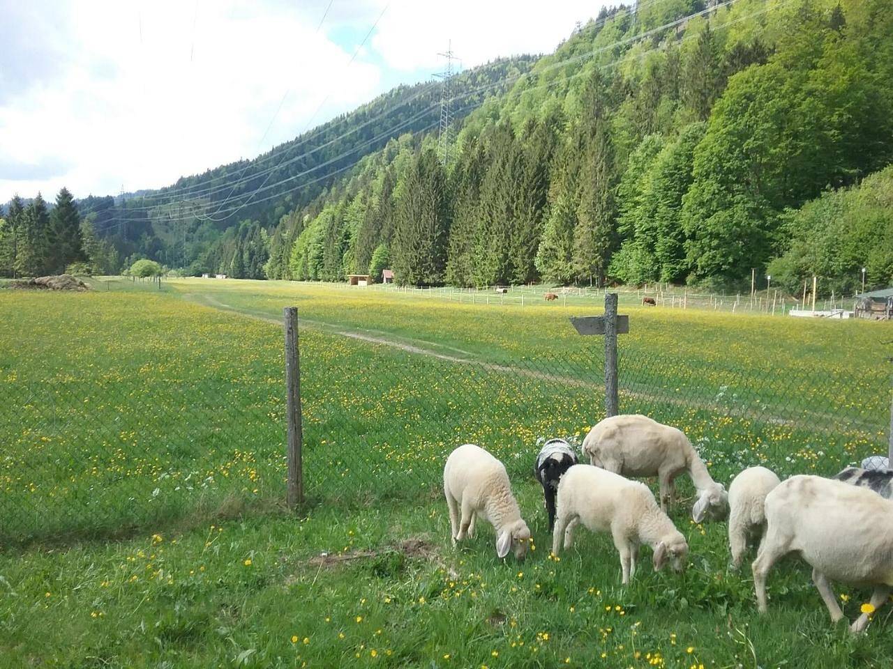Appartement entier, Apartment in Jachenau, Walchensee