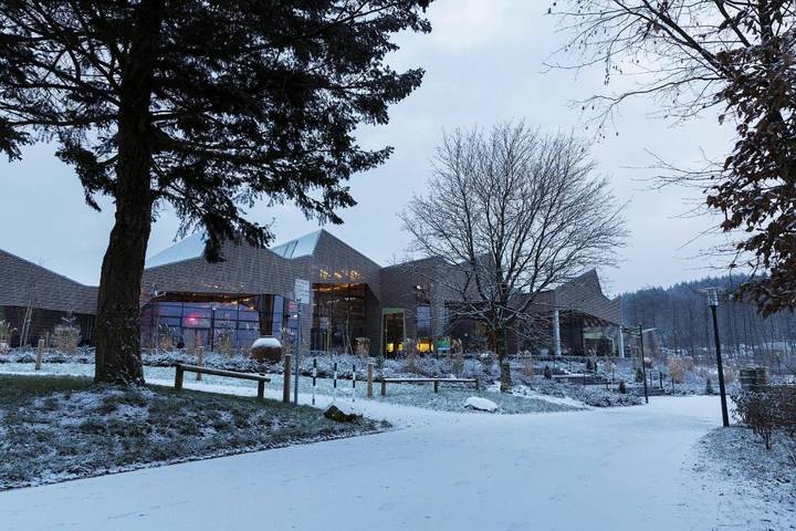 Bungalow für 6 Personen, mit Haustier im Saarland - 2