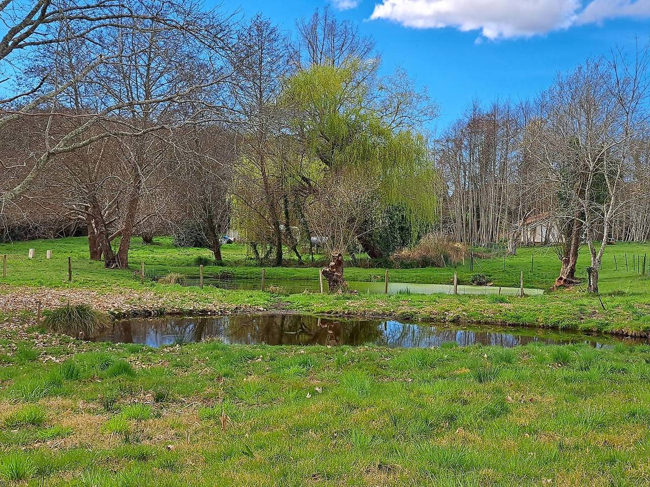 Spacieuse maison de village proche ruisseau in Lévignacq, Région de Dax
