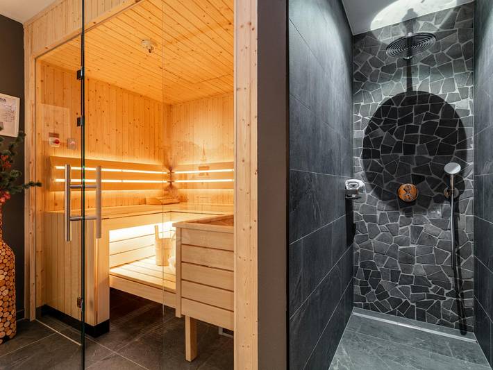 Exklusive AlpinLodge mit Wellness bei Flachau
 in Eben im Pongau, Tennengau
