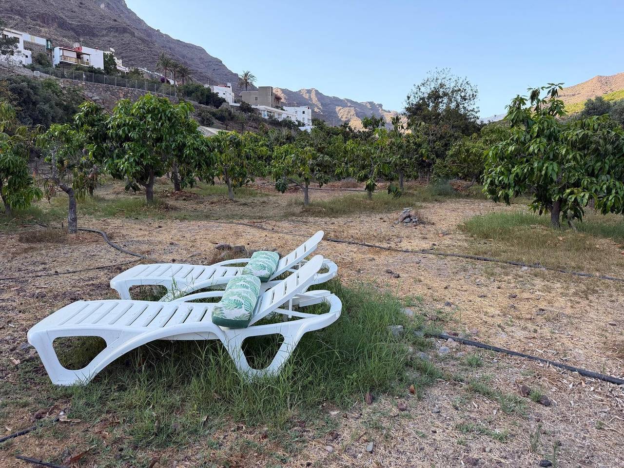 Landhuisje "Finca Nim 1" op een boerderij met uitzicht op de bergen, zwembad & Wi-Fi, foto 8