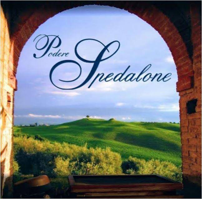 Podere Spedalone in Pienza, Orciatal