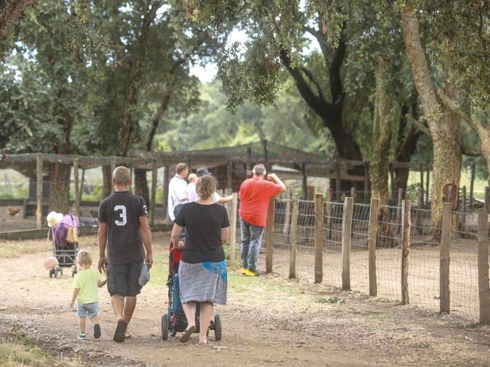 Location de vacances pour 2 personnes, avec jardin et terrasse à Pietracorbara - 2