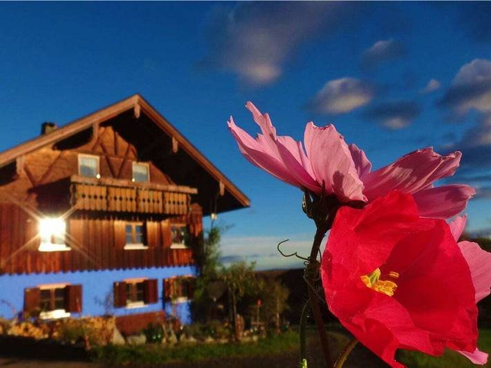 Ferienhaus für 2 Personen, mit Terrasse und Garten, mit Haustier in Blaichach - 2
