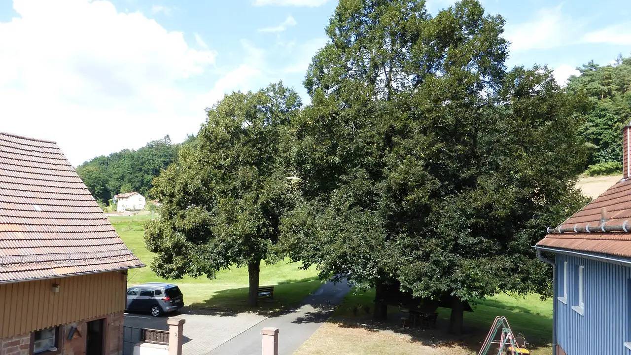 Apartamento vacacional entero, Ferienwohnung für 2 Personen (33 m²) in Mossautal in Mossautal, Odenwaldkreis