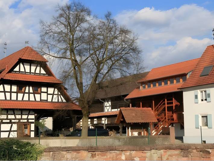 Ferienwohnung für 5 Personen, mit Garten und Balkon in Neuried