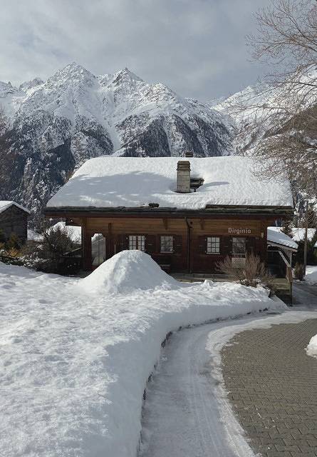 Ganze Ferienwohnung, Chalet Virginia A/B - 7-Bettwohnung 1407 in Grächen, Walliser Alpen