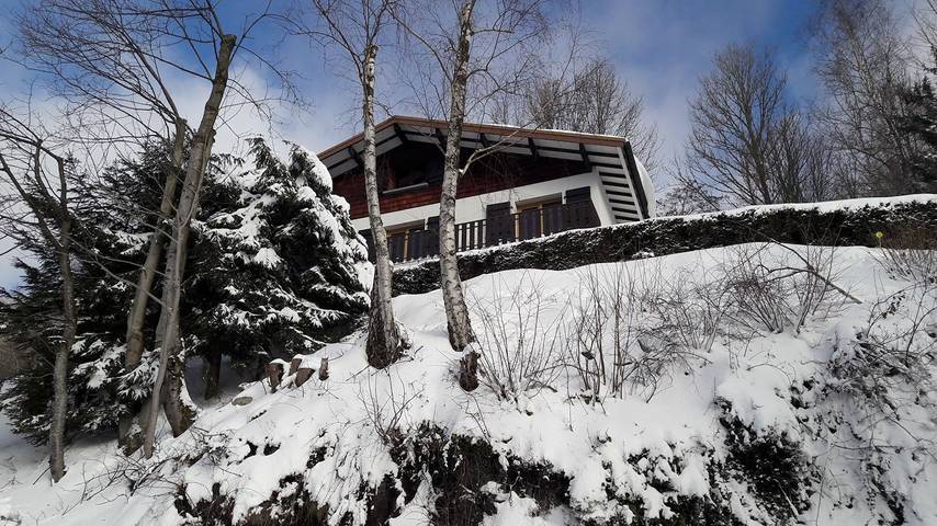 Chalet pour 15 personnes, avec sauna et balcon ainsi que jardin et jacuzzi à La Bresse - 3