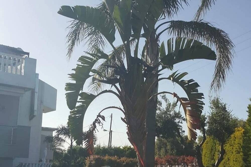 Aphrodite Luxe villa met prive zwembad, foto 12