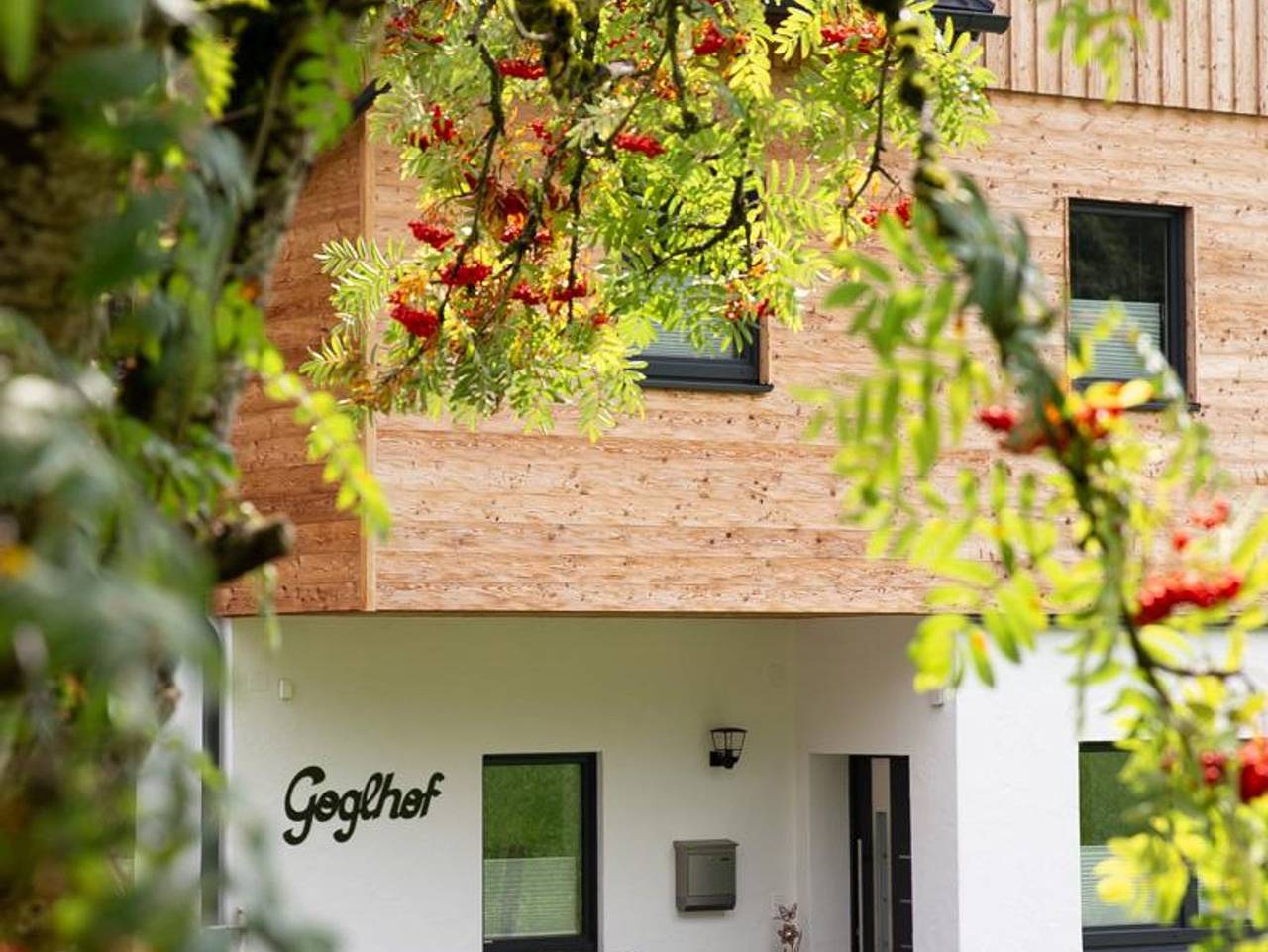 Ganze Ferienwohnung, Appartement Goglhof - Appartement Südblick in Ramsau am Dachstein, Schladming-Dachstein