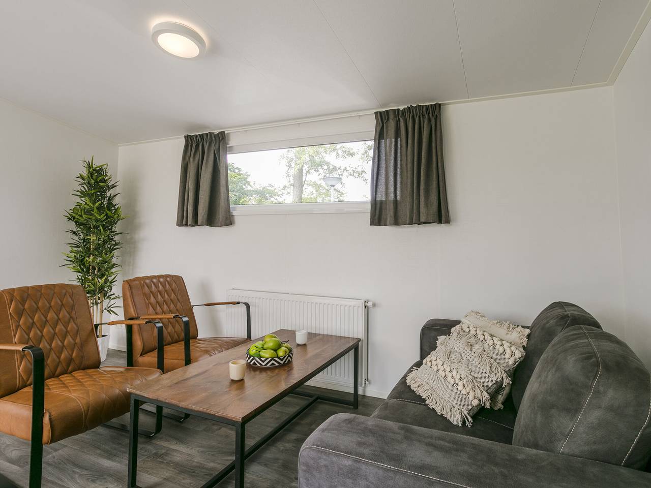Zonovergoten chalet bij de vijver in Lochem, Achterhoek