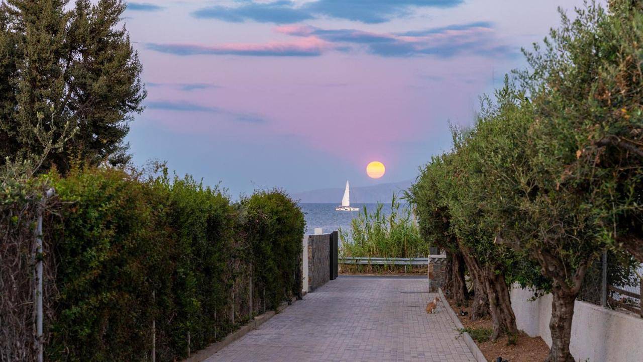Ganze Wohnung, Gemm Beach House in Limenas Chersonisou, Iraklio-Heraklion und Umgebung