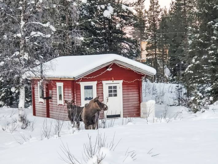 Järvstuga in Lappland (Schweden)