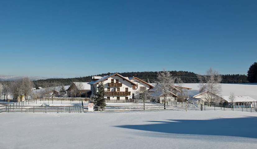 Bauernhof für 5 Personen, mit Balkon und Balkon/Terrasse sowie Terrasse und Garten im Bayerischer Wald - 3