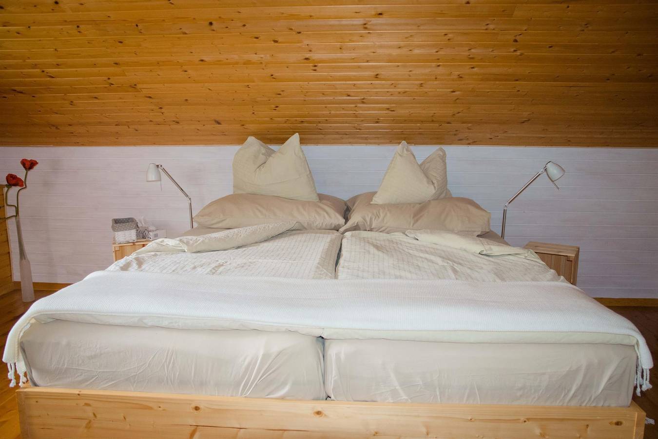 Ganze Ferienwohnung, Ferienwohnung Rose in Karawanken und Bachergebirge, Gallizien