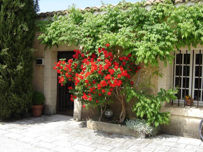 Gîte pour 2 personnes à Carpentras - 2