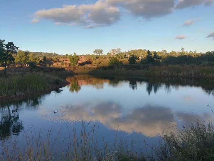Gîte pour 2 personnes, avec jardin et vue sur le lac ainsi que piscine et vue dans Alte - 4