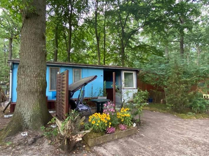 Camping für 4 Personen, mit Terrasse und Garten sowie Ausblick und Seeblick in Sachsen-Anhalt