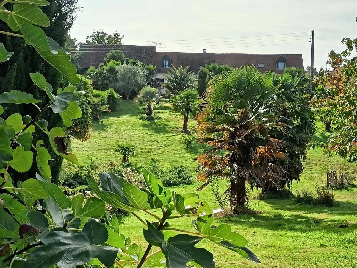 Double Room with Shared Bathroom in Thorigné-sur-Dué, Sarthe