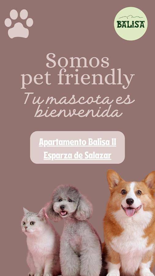 Apartamento de vacaciones para 4 personas, con balcón y vistas en Navarra - 3