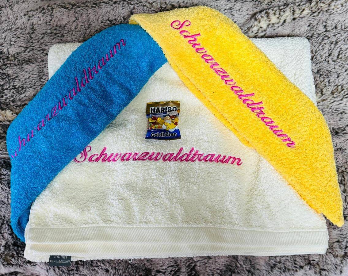 Ganze Wohnung, Schwarzwaldtraum mit Baustellenpreis ohne Balkon aber mit Kurtaxe! in Bad Liebenzell, Nordschwarzwald