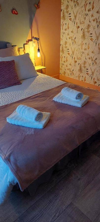 Location de vacances pour 10 personnes, avec jardin, animaux acceptés à Écueillé - 3