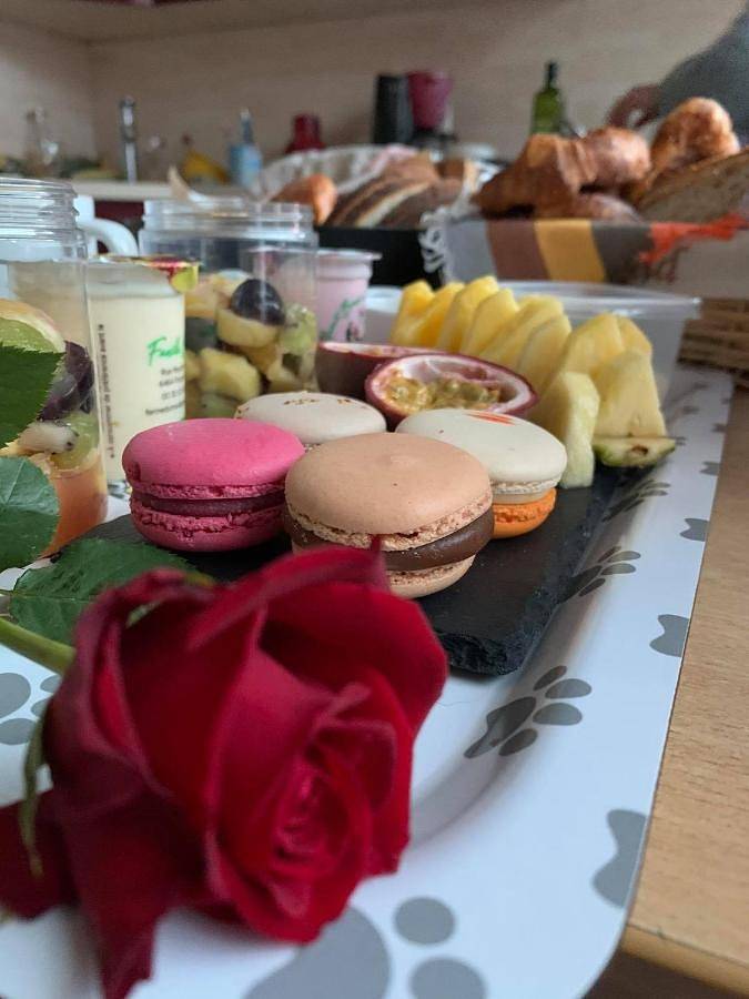 Chambre d’hôte pour 2 personnes avec terrasse in Chimay, Hainaut