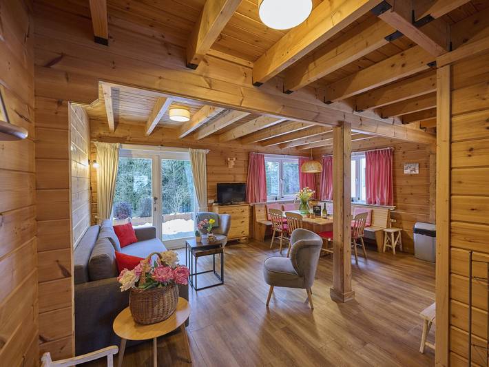 Maison de vacances pour 5 personnes, avec jardin ainsi que sauna et terrasse, animaux acceptés - 1