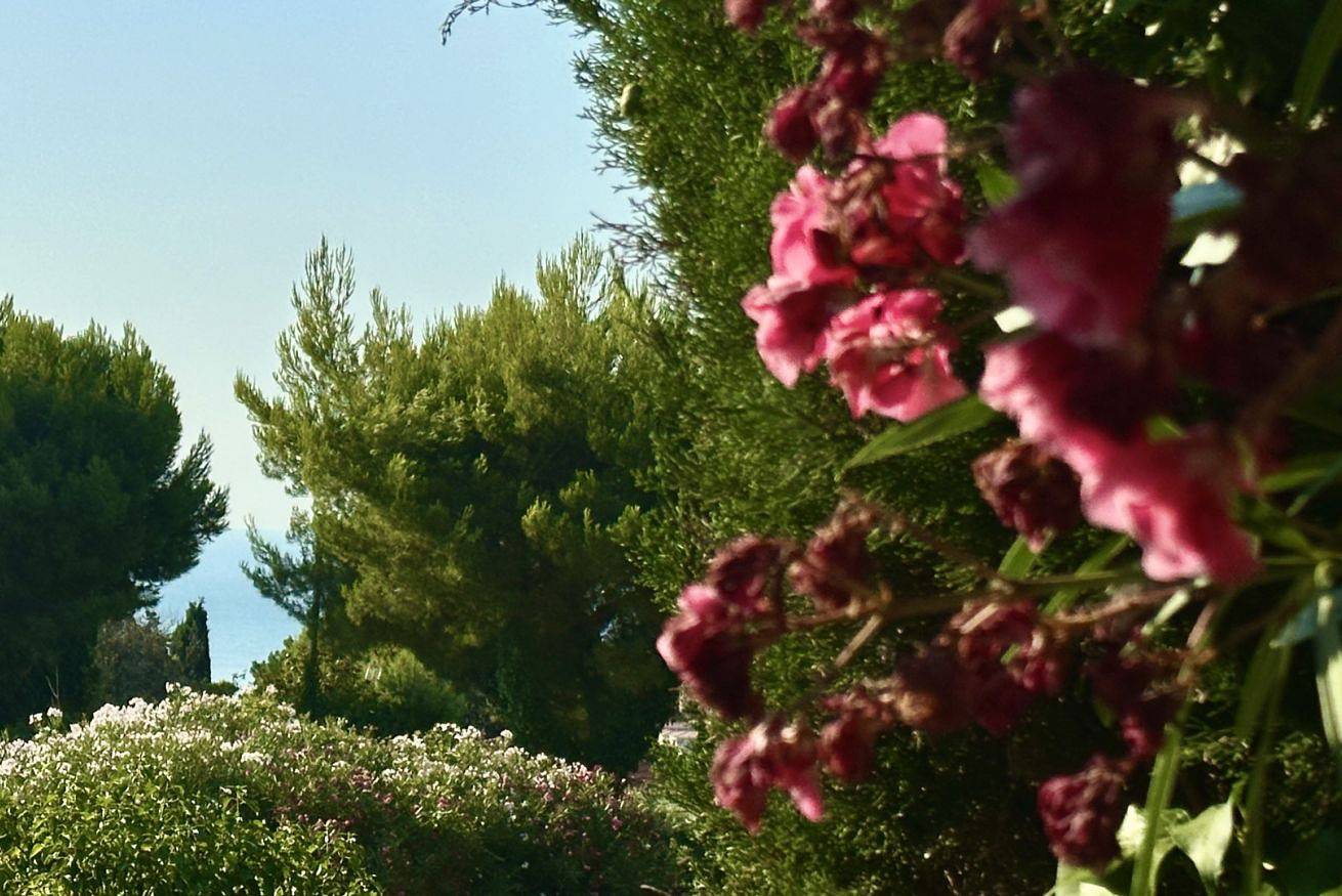 Apartamento entero, N183 - Numana, new apartment with garden in Numana, Riviera del Conero