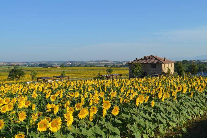 Maison de vacances pour 6 personnes, avec jacuzzi et jardin - 1