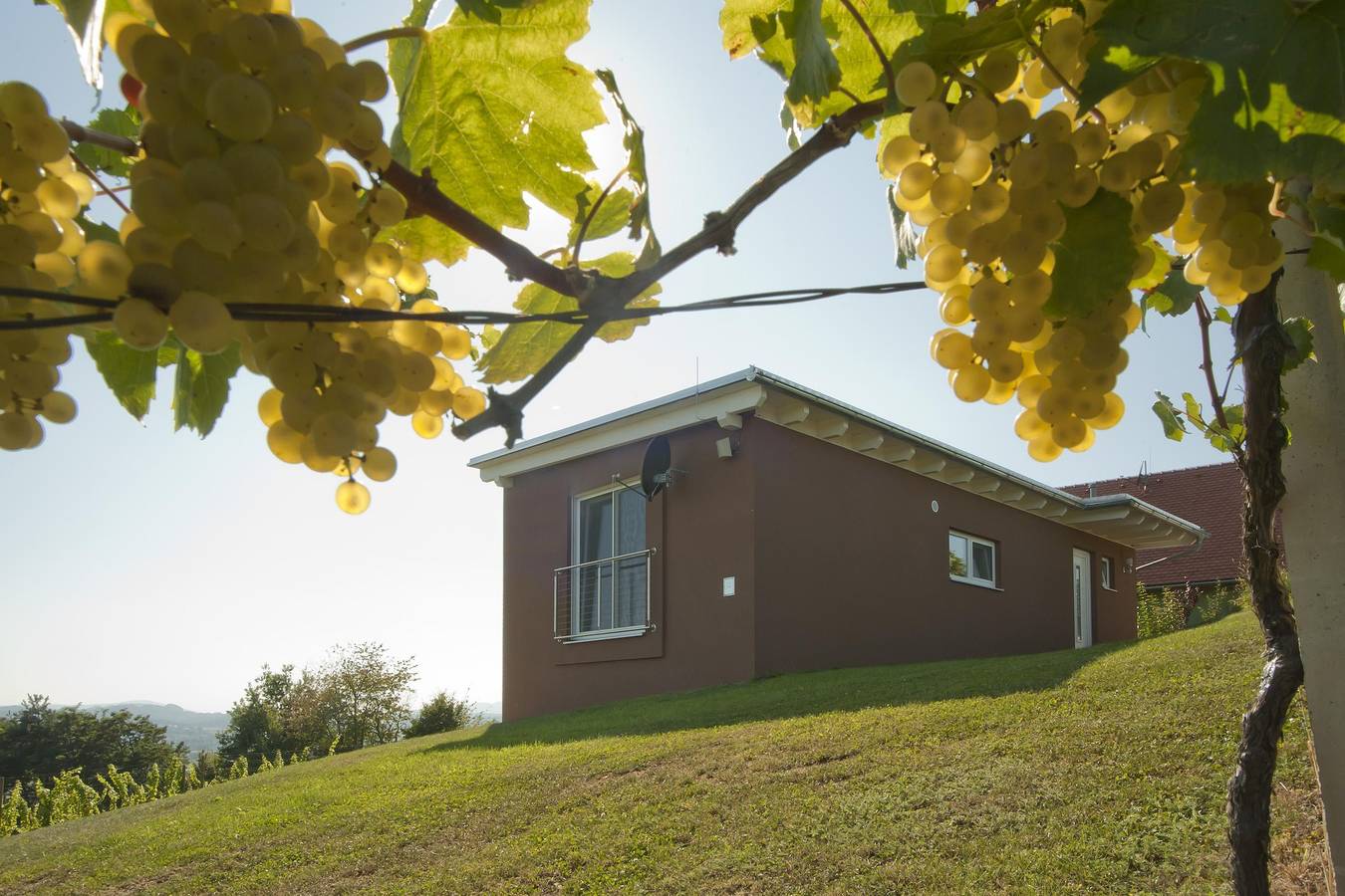 Ferienhäuser im Weingarten in Südoststeiermark, Fehring