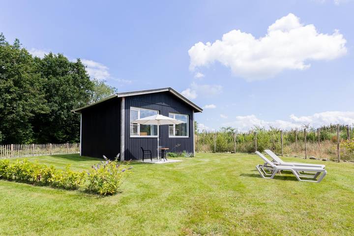 Maison de vacances pour 2 personnes, avec vue sur le lac ainsi que jardin et terrasse dans Drenthe