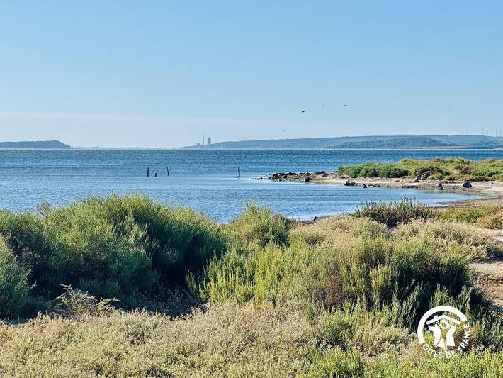 Vue sur Etang in Bages (Aude), Côte d'Améthyste