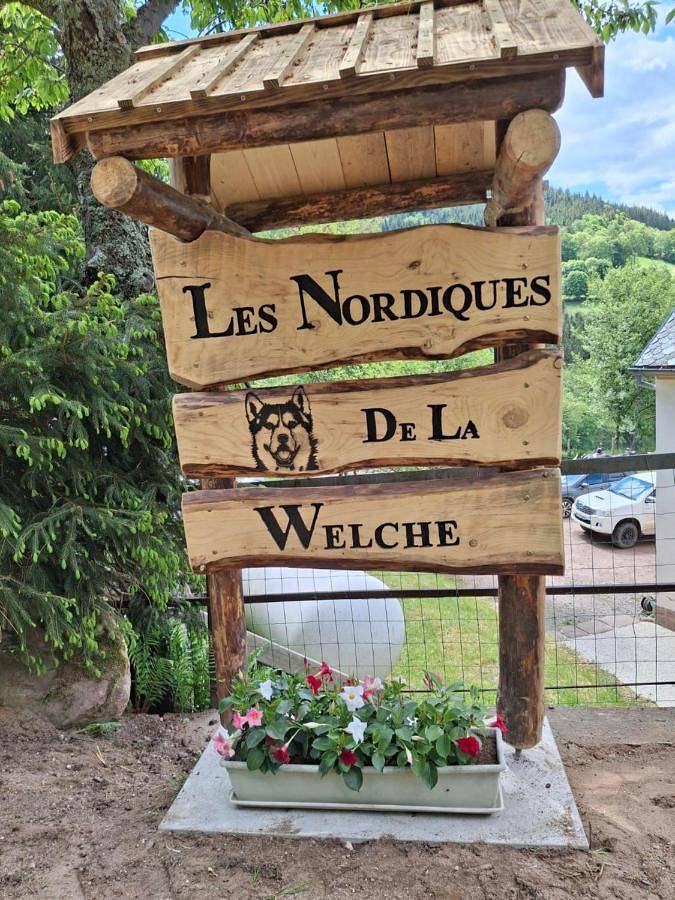 Location de vacances pour 4 personnes, avec jardin et vue à Orbey - 3