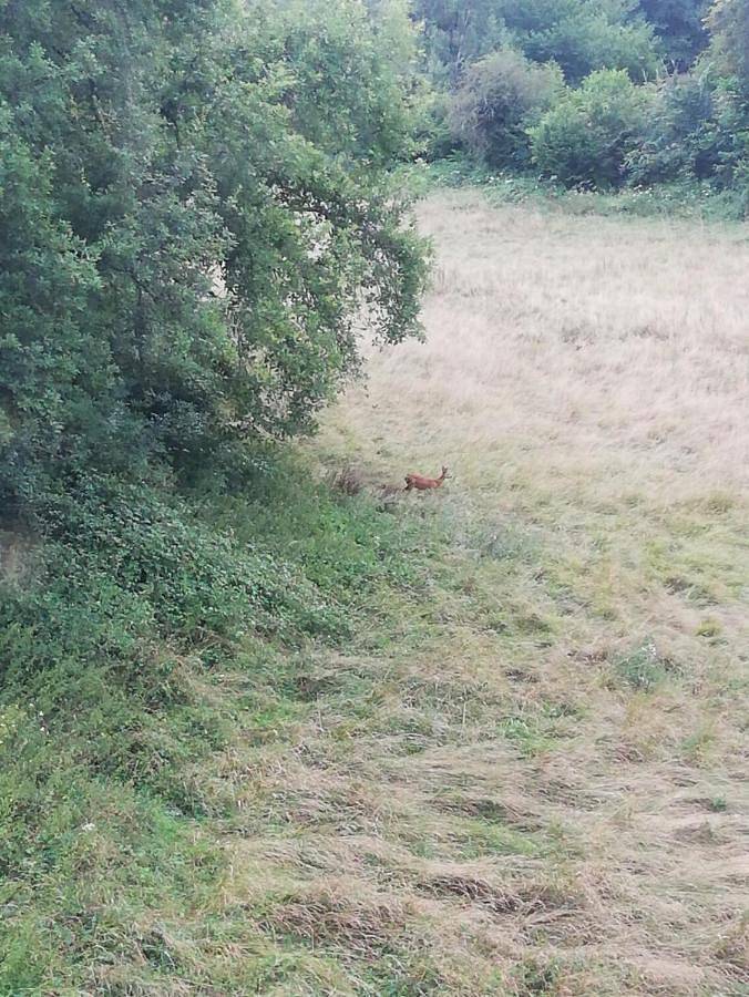 Gîte pour 6 personnes, avec vue et jardin à Saint-Marcel (Indre) - 4