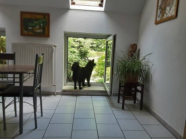 Entire holiday apartment, Holiday apartment for 3 people with garden in Werpeloh, Landkreis Emsland