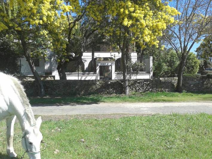 Casa rural para 13 personas, con Terraza además de Jardín y Vistas en La Vera