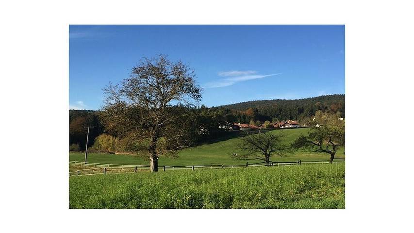 Ferienhaus für 4 Personen, mit Pool und Garten in Passauer Land - 4