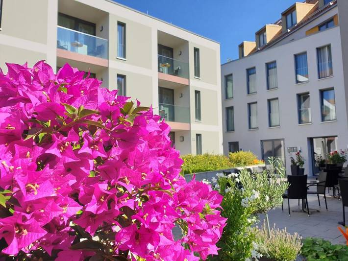 Hotel für 5 Personen, mit Ausblick und Garten in Altstadt (Erfurt) - 4