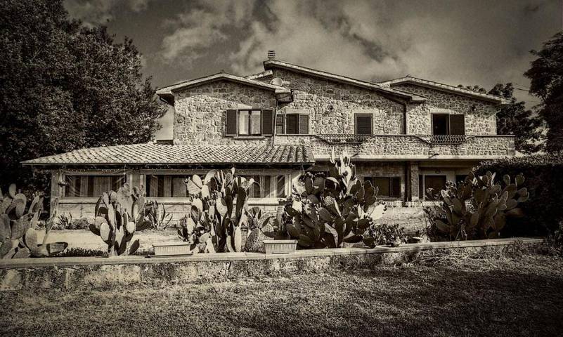 Maison de campagne pour 5 personnes, avec jardin ainsi que piscine et vue, animaux acceptés à Pitigliano - 4