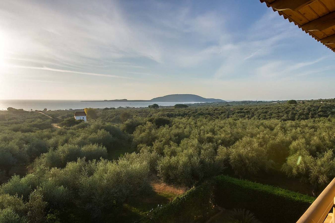 Ganze Wohnung, Seaview flat in an olive grove by the sandy beach in Messenien