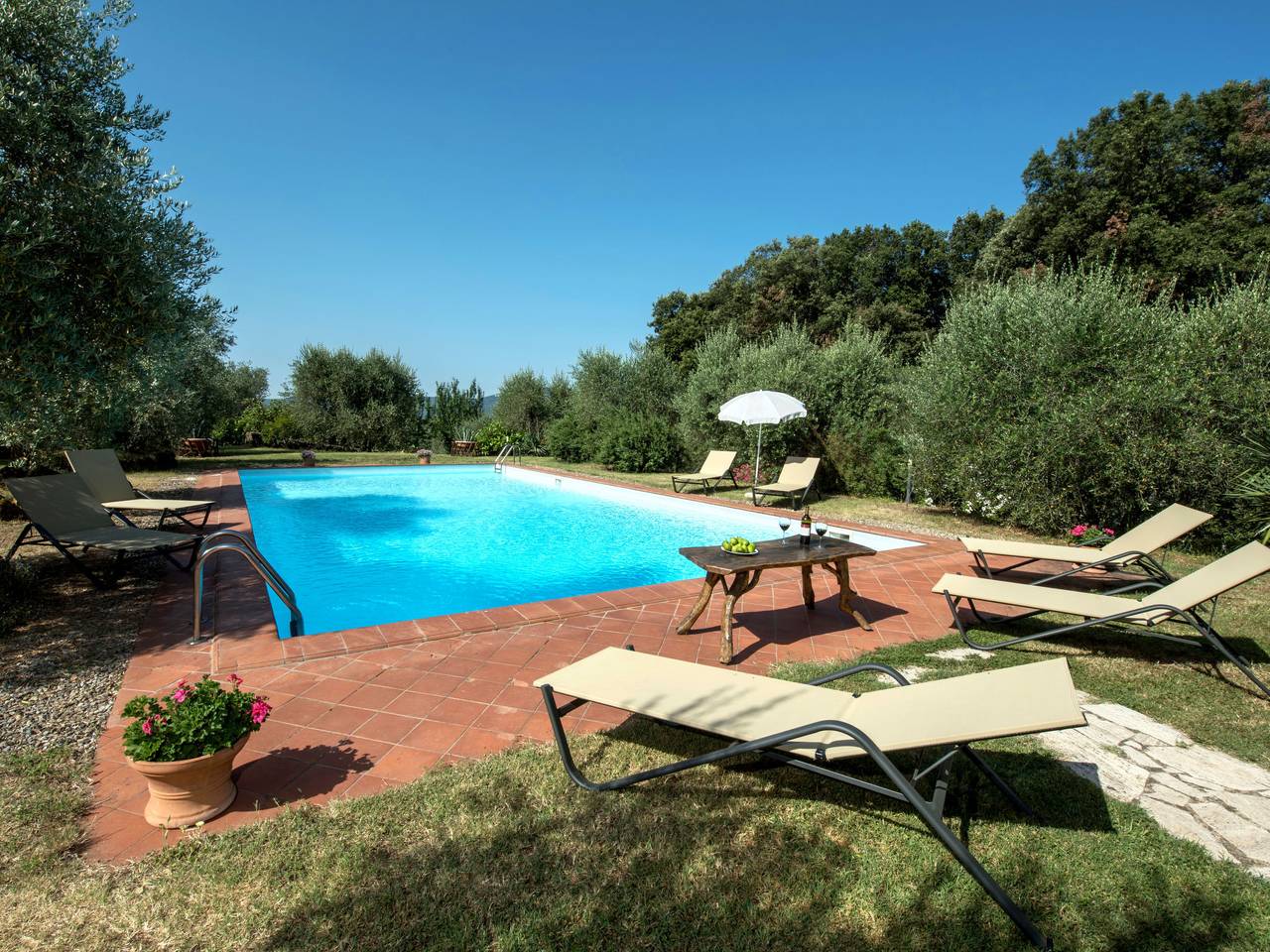 Il Nespolo in Siena, Chianti