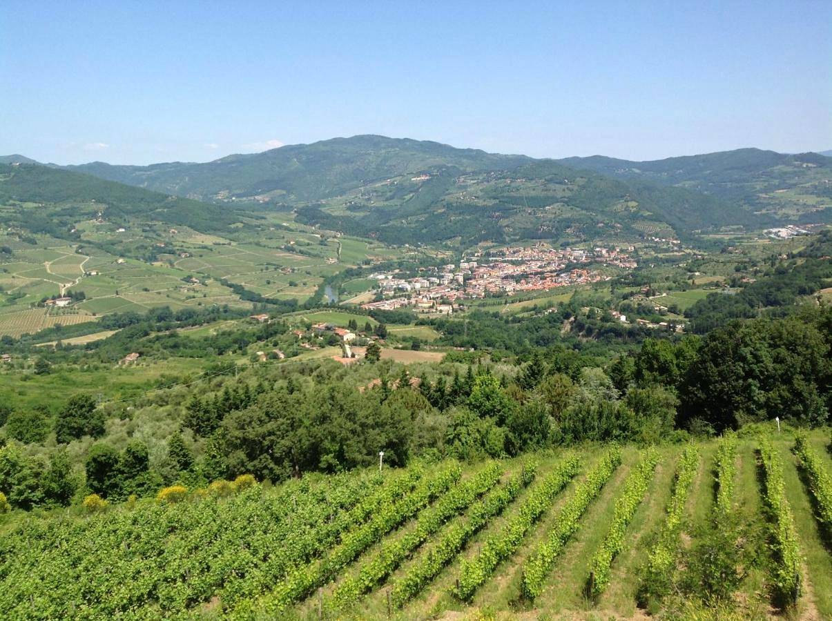 Agriturismo Prato Barone in Rufina, Chianti